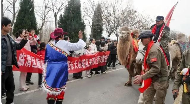 高接远迎丝路东行的33个驼峰，洛阳民间的自发行动