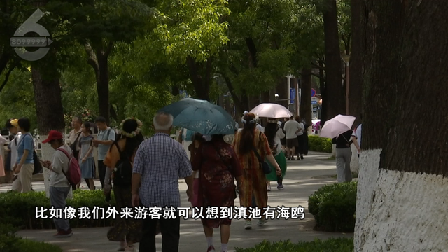 “阿老表，车给你开好了！”网友：昆明的共享单车“滇味”很浓……