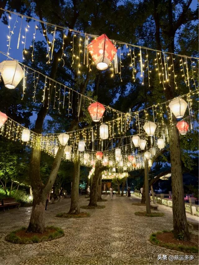 夜游上海古猗园，夜景璀璨迷人