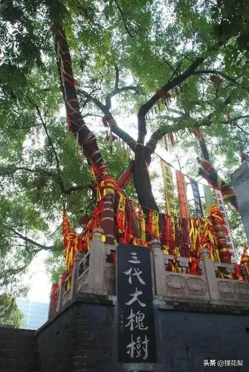 山西最特别的城市！是中国的“厕所之都”！厕所不输五星大酒店！