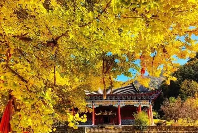 雨停天晴!佛坪的山川与美景,都在等你赴约→