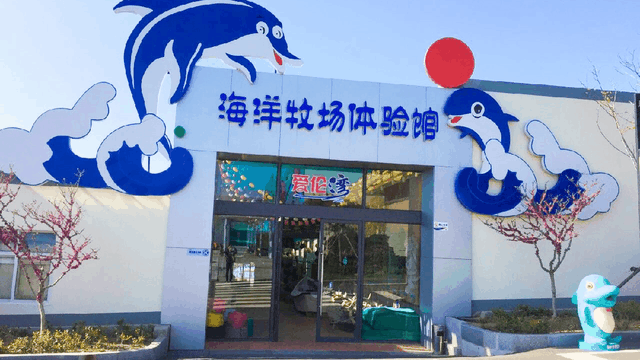 央视主持人来打卡！这里究竟有多好玩？