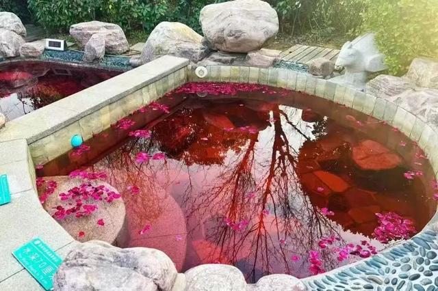 临沂人游临沂｜去河东热热闹闹赶大集，临沂人家门口的快乐清单