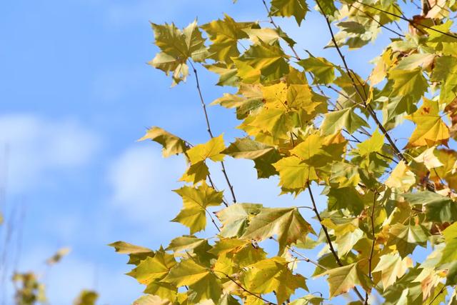 余庆的初冬,就藏在这些地方!