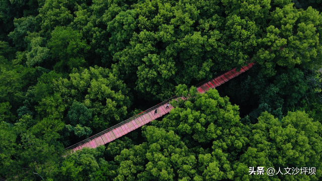 定了！2025重庆全球旅行商大会将在沙坪坝举行