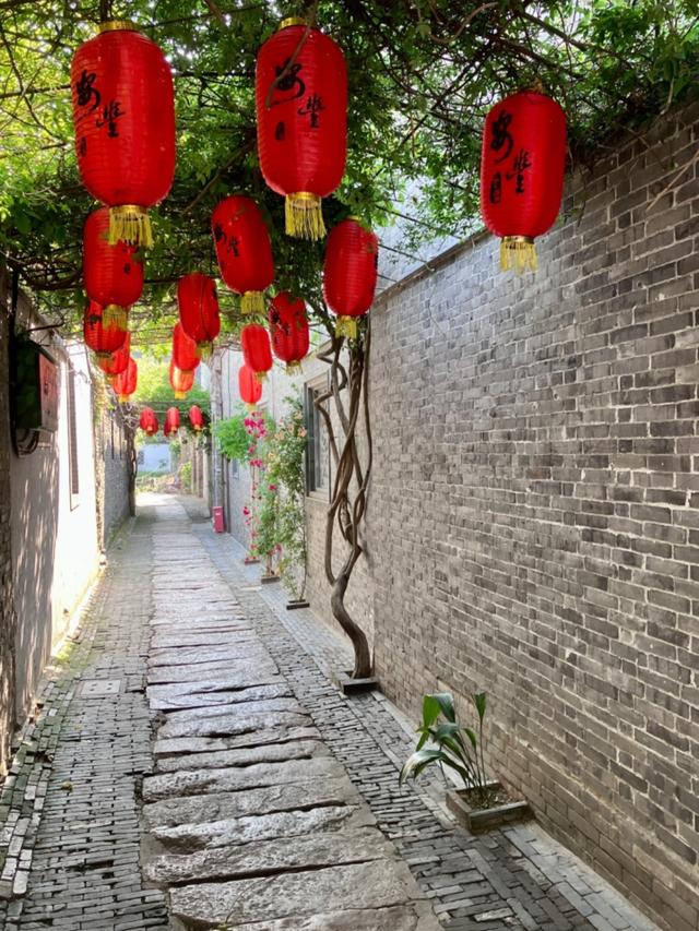 杭州没想到，南京没想到，如今的中国盐城，已成为全国焦点