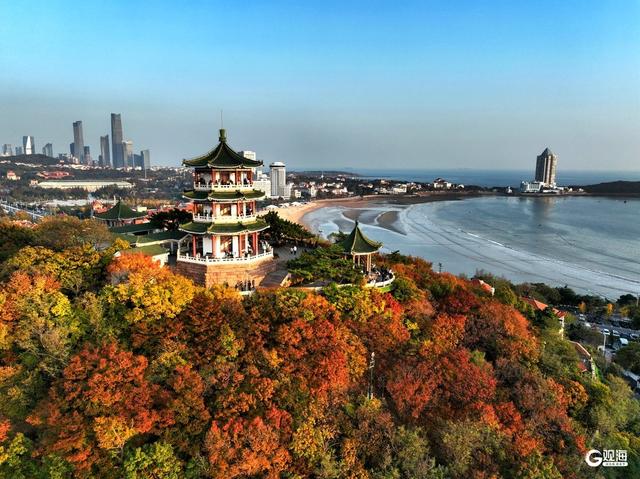 来青岛这里欣赏“秋景未尽”的诗意