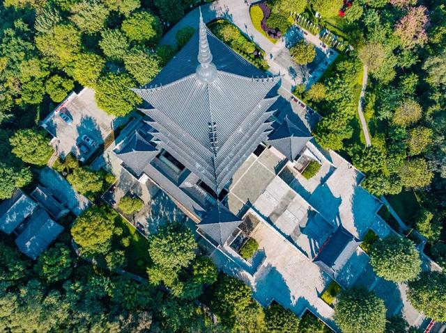 逛完你的逛你的，桂城公园真的逛不完！免费畅玩→