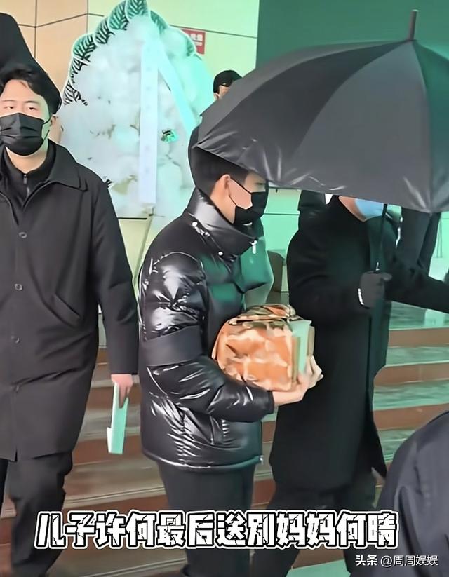 何晴儿子悼词句句催泪！公开母亲临终细节，捧骨灰动作全场泪目！