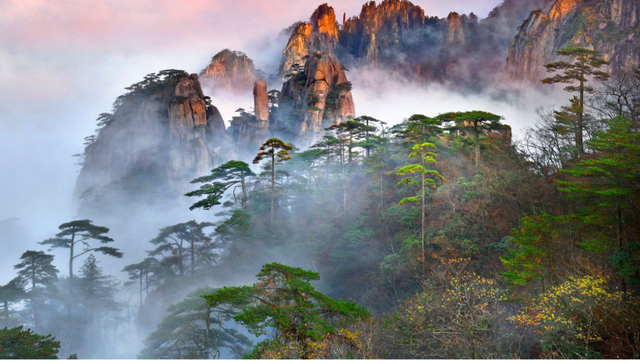 别等了！黄山的秋已铺满诗意，就差你的一句告白 | 皖美秋日