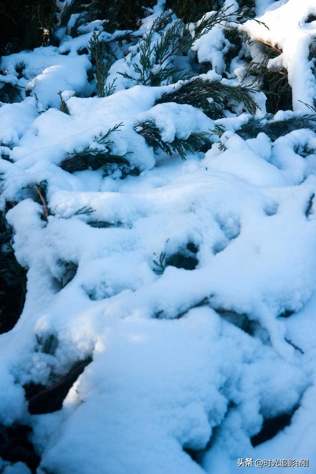 晨晓微曦的雪棱光