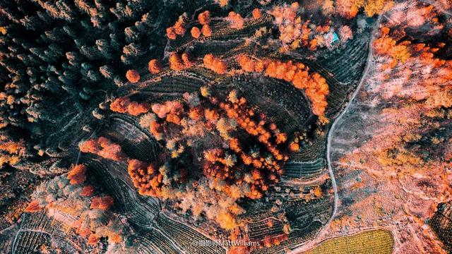 实力上榜！黟县跻身2025中国旅游百强县第23位，文旅实力再获国家级认可 | 超级皖黄山市争霸赛等你来战