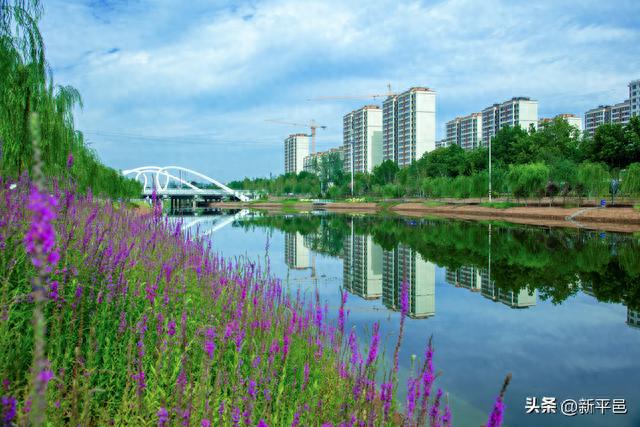 兴水河畔绘宏图 盛世开园惊世间—写于平邑县兴水河改造大功告成之际 姜晓彬 孙晓南/诗歌 庄军/图片