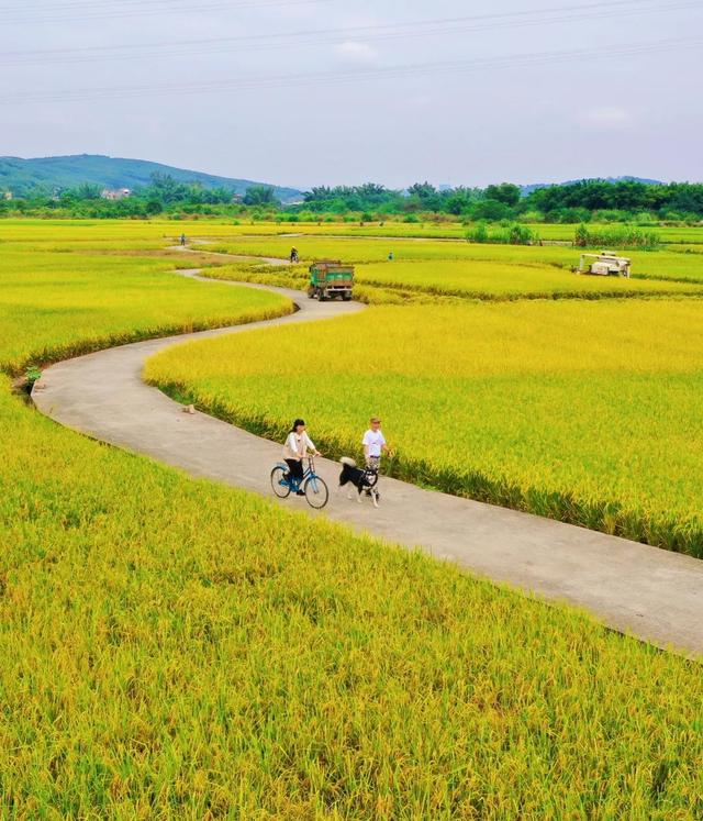 拿好这份初秋“寻色地图”，骑行解锁韶关的限定美景
