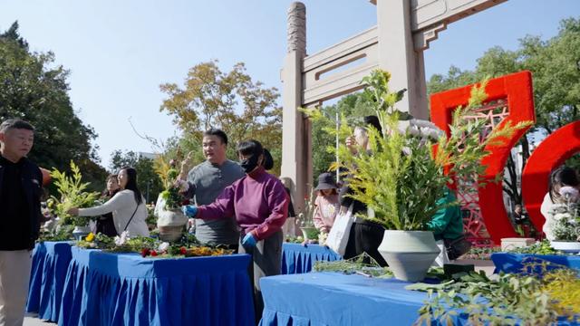 菊花展，开始！