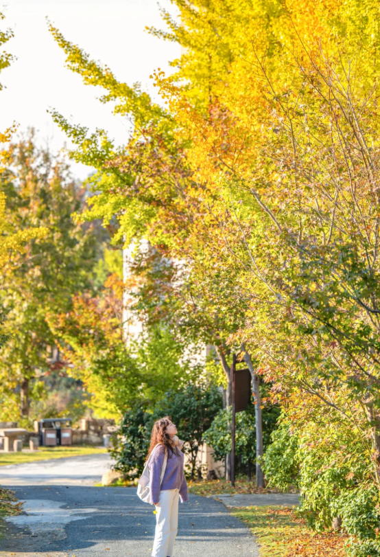 星巴克入驻清凉寨！邀你解锁赏枫新体验