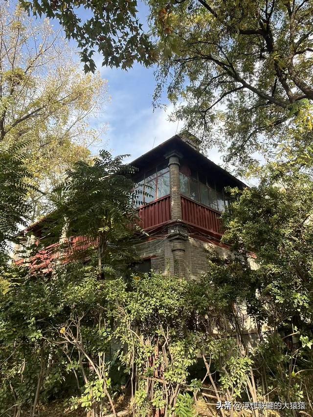 俺那天进齐鲁大学里面来了一场时空旅行（山东大学趵突泉校区）