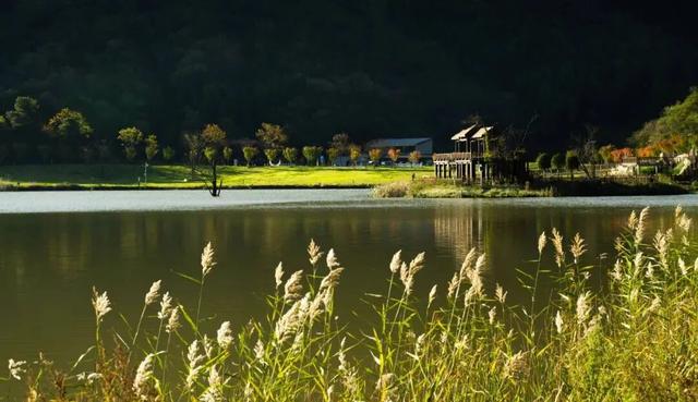 利州＝梦幻秋色打卡地