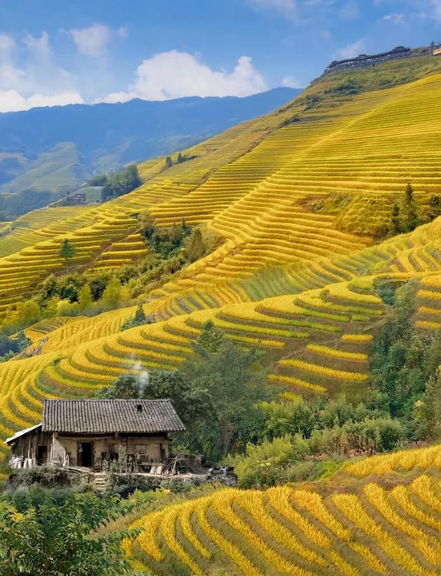 想看中国最美的秋景？别再瞎冲了！去之前必须做攻略,以免跑空！