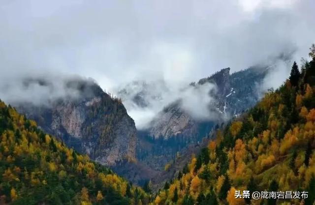 陇原赏秋韵，冬游官鹅沟