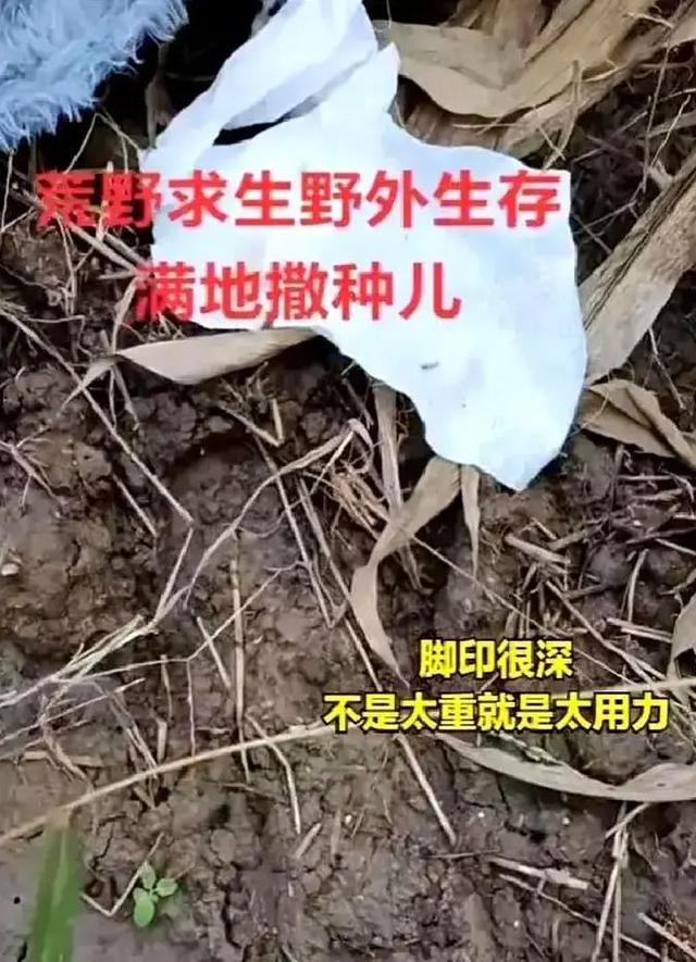 女子跑去玉米地约会，农户晒出现场照片：纸巾扔了一地