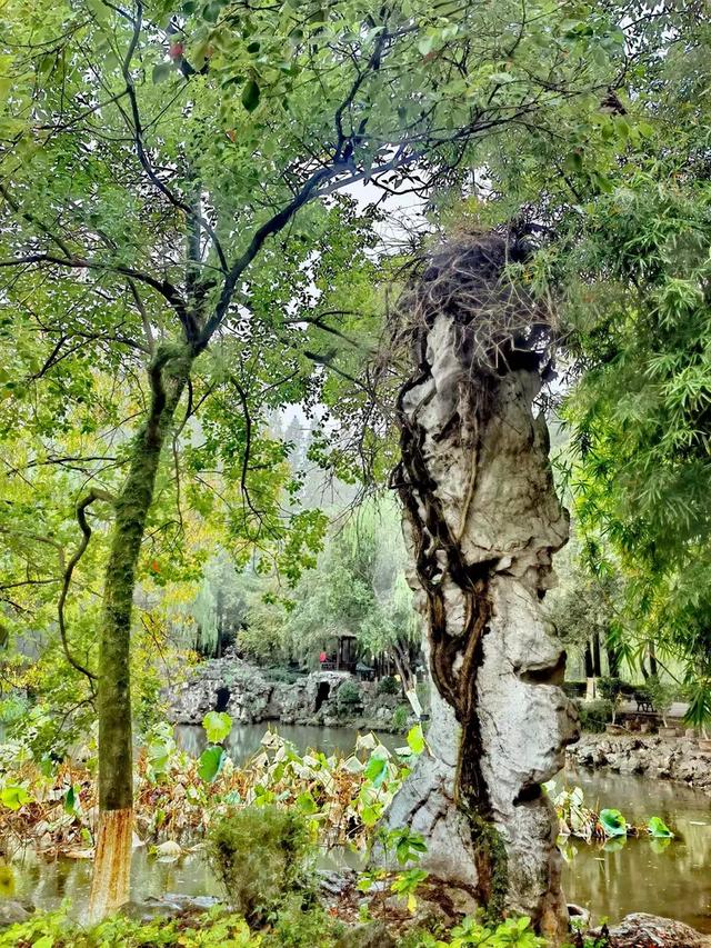 相约在湖州,相聚在梦萦——记原福空医院老战友2025年湖州行