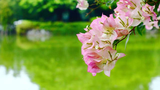 爆款标题：人这一生，最大的憾事莫过于相遇越无法相拥	。