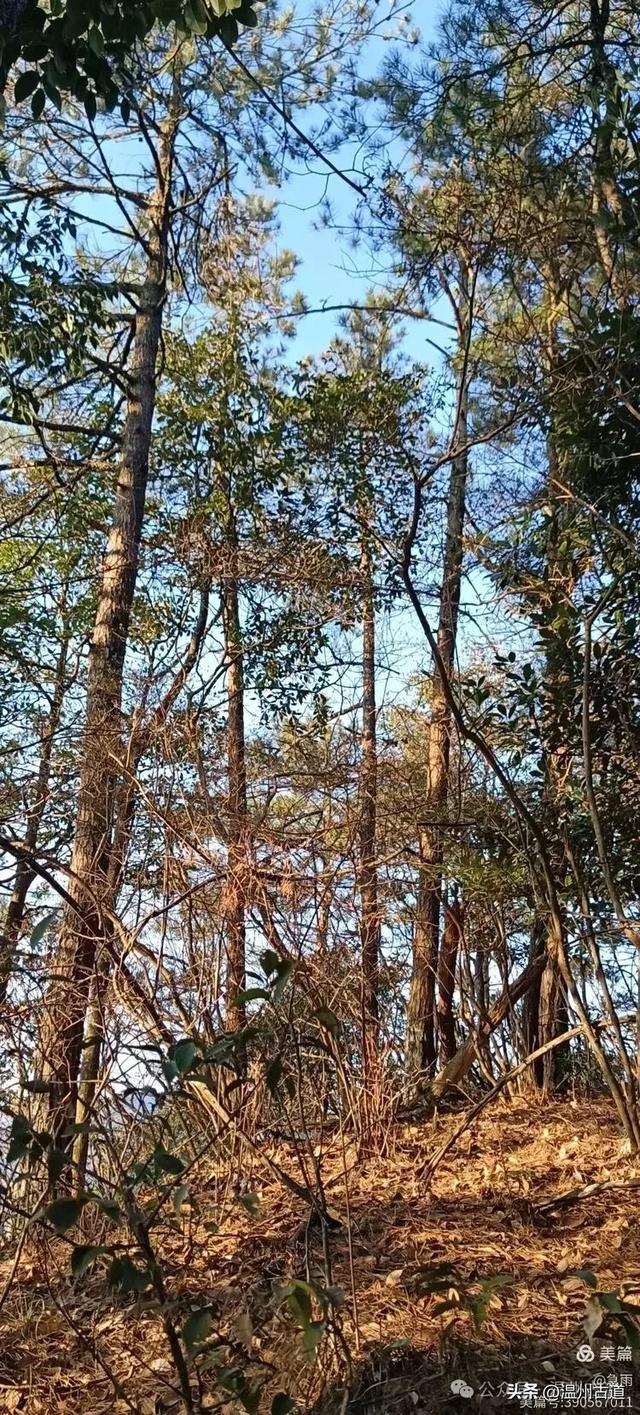 探秘楠溪江源头!这条海拔千米以上的草甸山脊只有极少数驴友知道