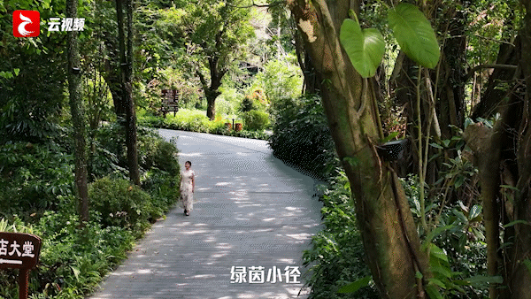 官宣！云浮要去内蒙古 “交换冬天”！