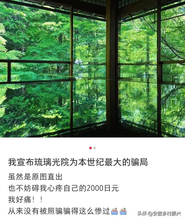第一批抵达网红景点的游客，已被诈骗......