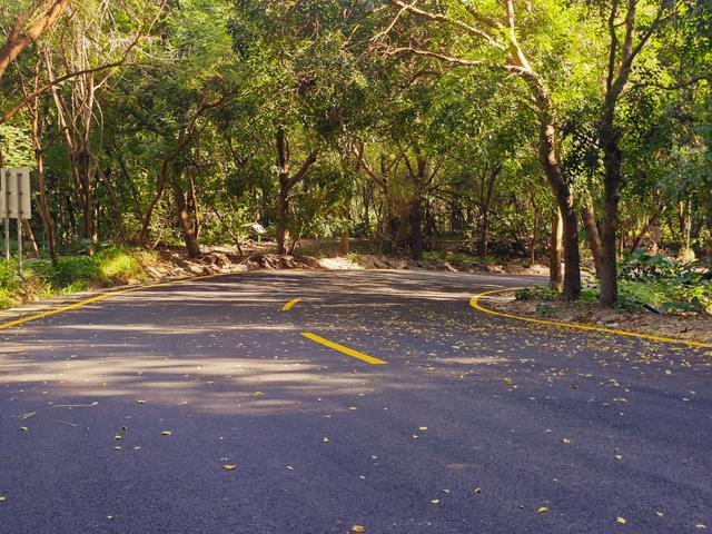 塘朗山郊野公园[绿平二路入口]骑行爬坡好地方
