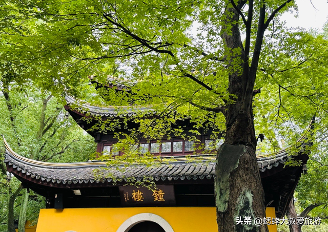 苏州一日游最佳攻略，该怎么逛？有什么注意事项？
