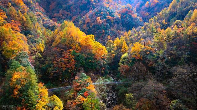 10月精华秋景，这9个赏秋胜地，看一次彩色秋天