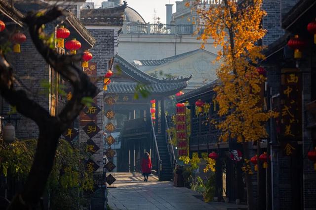 抓住秋天的尾巴 | 台儿庄古城秋色打卡指南，附私藏机位！