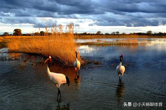 世界上只有吉林省才有的全球独一无二的五大奇景