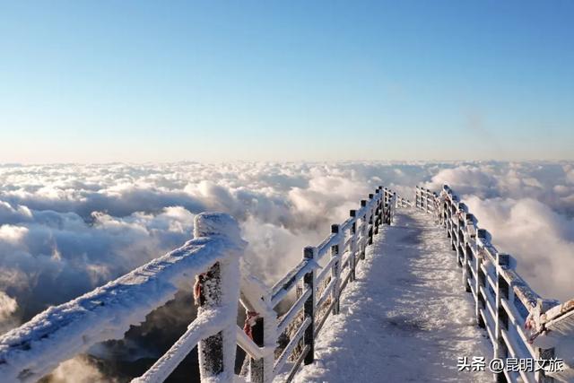 明天启幕!今年冬天“配享太庙”的玩雪好去处,在轿子山觉醒了!