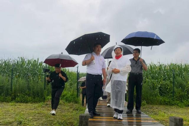 曼行吉林 | 延边邂逅：在文化烟火里触摸民族同心的温度
