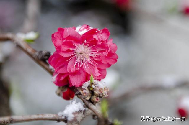 今日中秋，老人说最怕“中秋一日雨”，中秋下雨有啥预兆？早了解