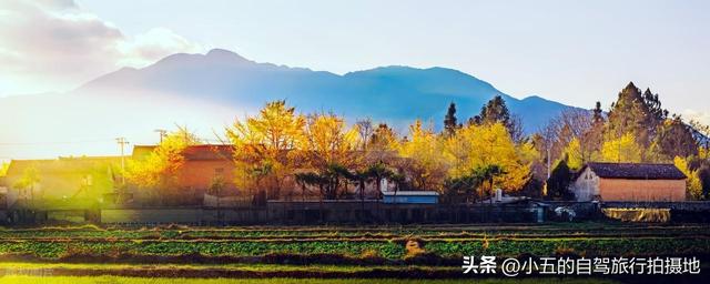 11月旅游的目的地推荐|每一个都是出片圣地的存在