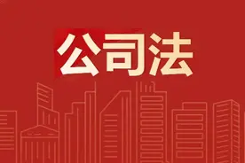 公司诉讼的基本类型图片