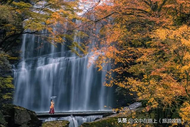 汉中这处红叶已进入最佳观赏期