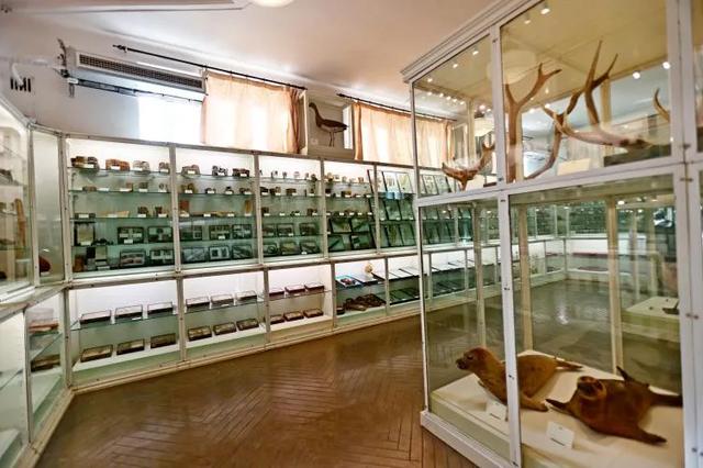 藏品20万+，这座博物馆“看宝”又“出片”！