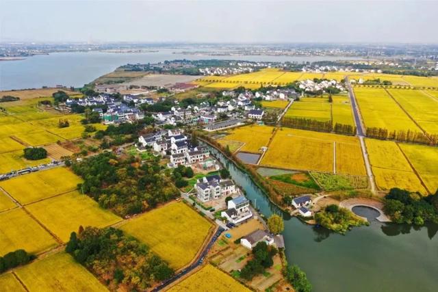 苏州吃羊肉的季节到了!打卡线路推荐→