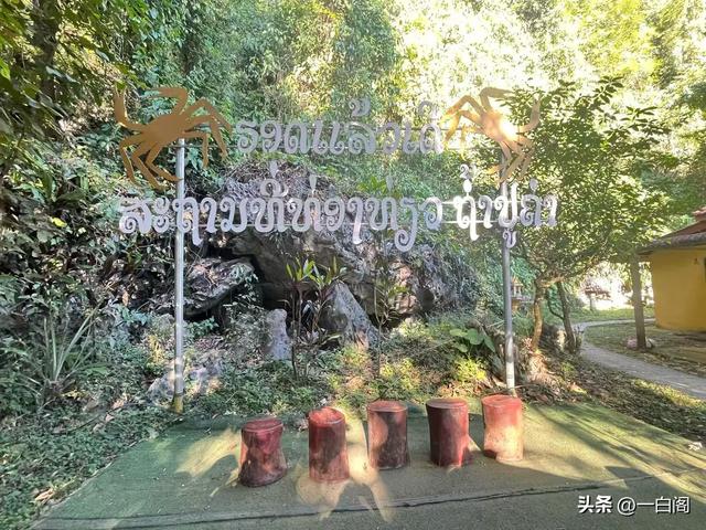 蓝色泻湖之时光跳跃