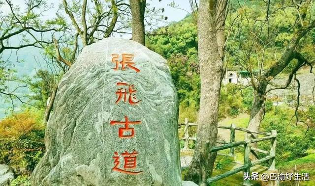 张飞古道封了？北碚人偷偷笑：这条平替路线藏着千年古刹和北海