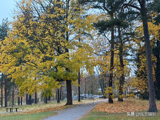 赫尔辛基：波罗的海之畔的“北方洁白城市”