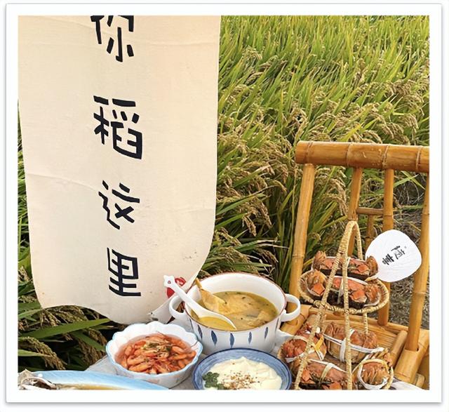 稻田画震撼更新！国庆来“稻”，垦利“丰”景正好！