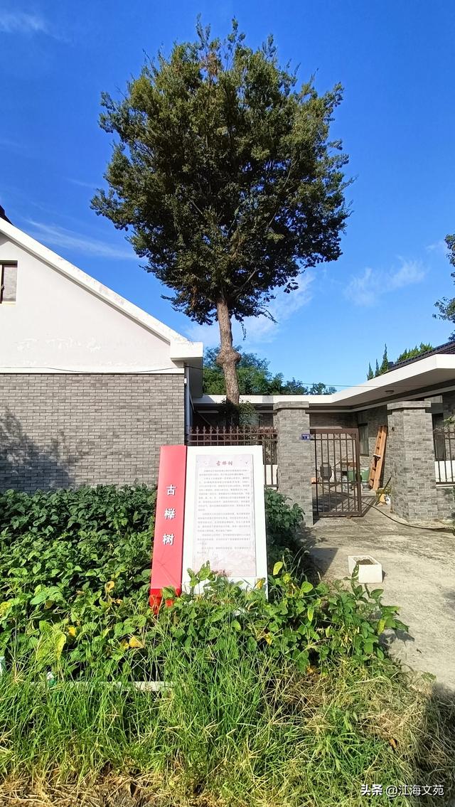 留住乡愁记忆 激活振兴动能
