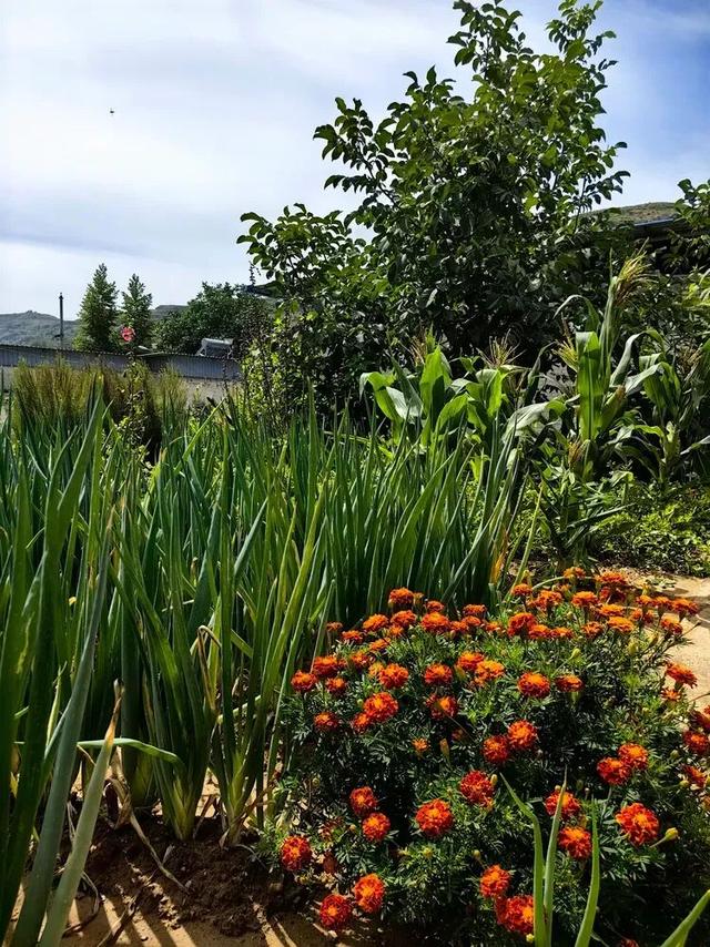 山西吕梁·石楼县泊河村
