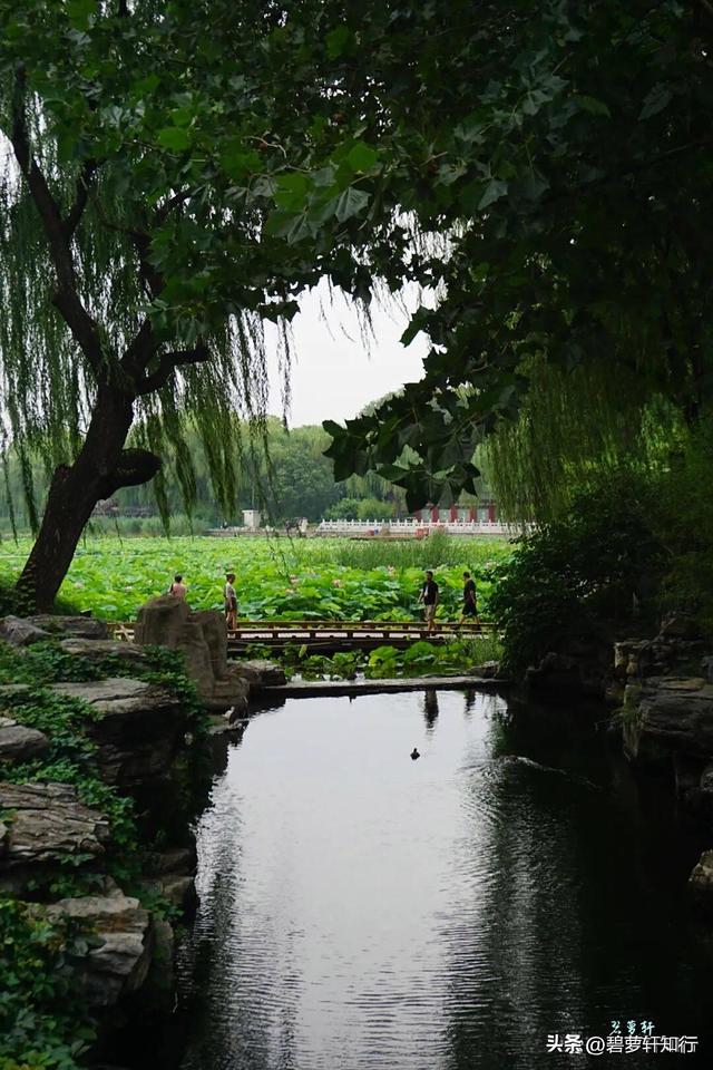 什刹海，何以成为北京最有京味儿的湖